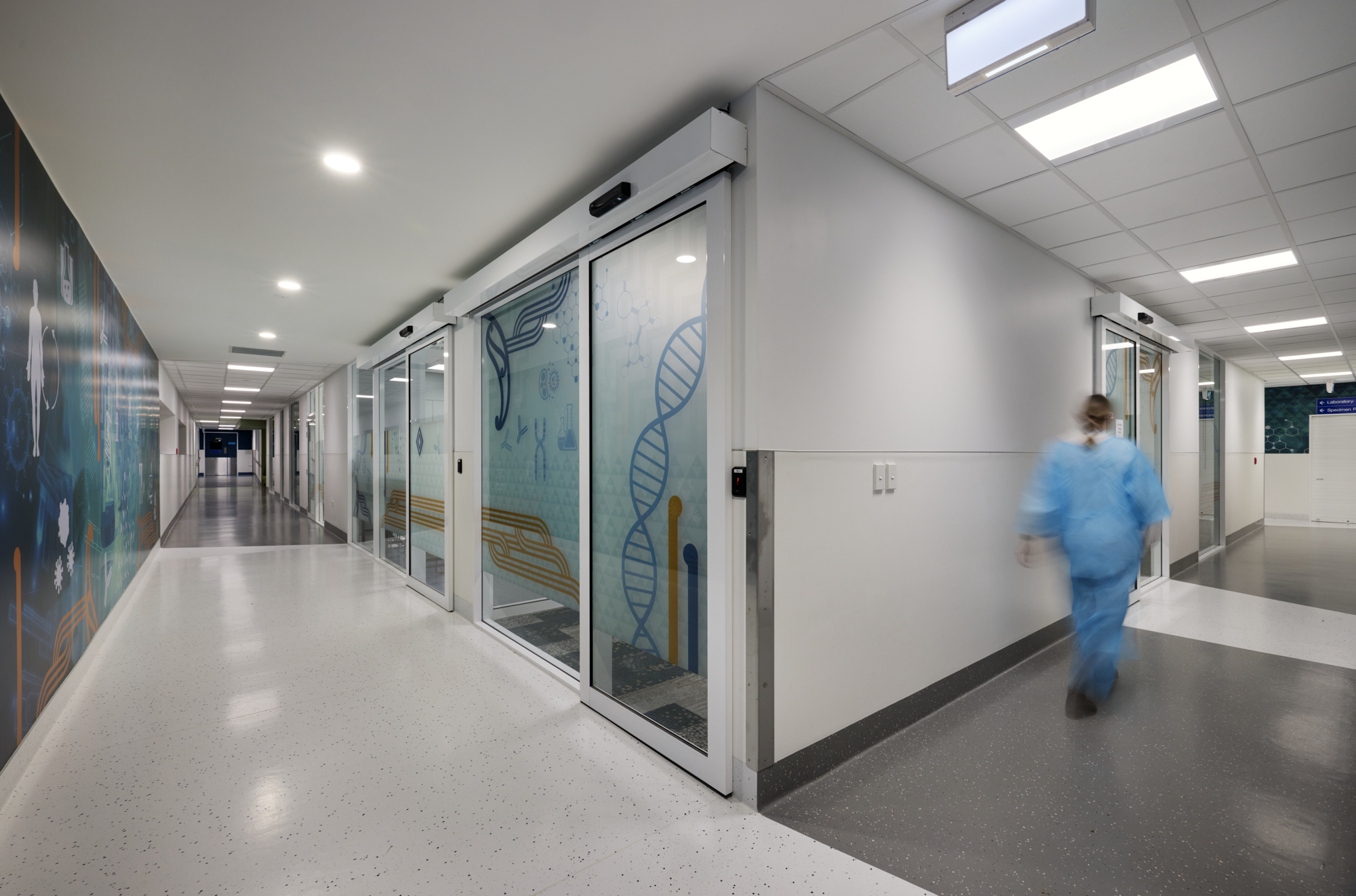 Health NZ Waikato Molecular Laboratory